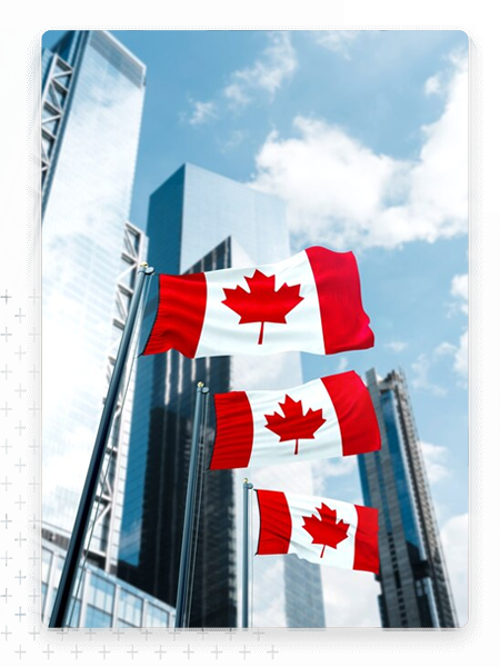 Wider Option Immigration Consultant